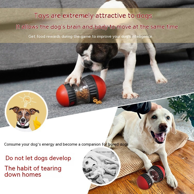 Tumbler Fiuto, dispenser di snack per cani - foto 8